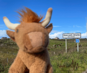 Image Description: A plush toy highland cow with brown fur and light horns is in the foreground of the photo, blocking part of the view. In the background, there is a white road sign that says ‘Gearraidh Sheile / Garrahellie’ and a blue cycling route sign below the main one. The setting is a grassy, rural area with a bright blue sky.