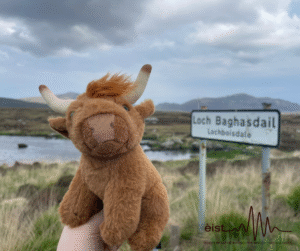 Image Description: A small plush Highland cow toy is held up by a hand outdoors, with a scenic background of a grassy landscape, water and rolling hills. In the background, there is a road sign that says ‘Loch Baghasadail / Lochboisdale’.