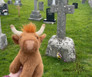 Image Description: The photo depicts a graveyard with several headstones and green grass. In the foreground of the photo, a plush toy resembling a brown cow or highland cattle with light-coloured horns and a tuft of orange hair is stuck up. The nearest gravestone, with a bunch of white, purple and yellow flowers infront of it reads ‘Compton Mackenzie 1883-1972’. 