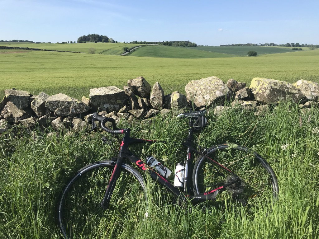 Bike in hedges next to a wall circling a field