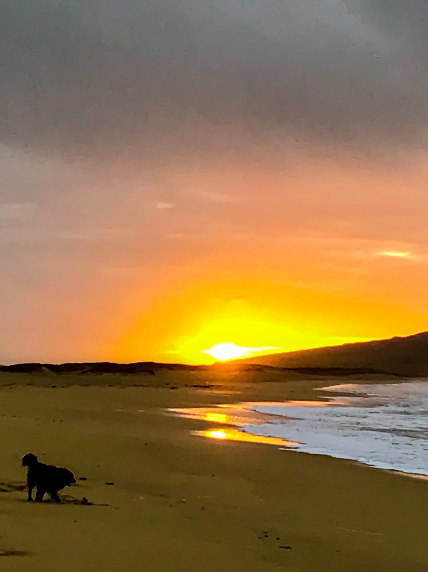 Sunset over Isle of Harris beach with a dog on it
