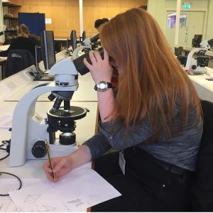 Photo of girl looking into microscope