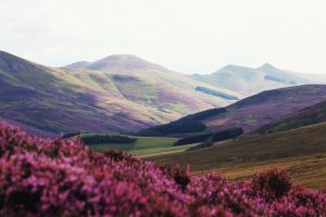Image of Pentland Hills