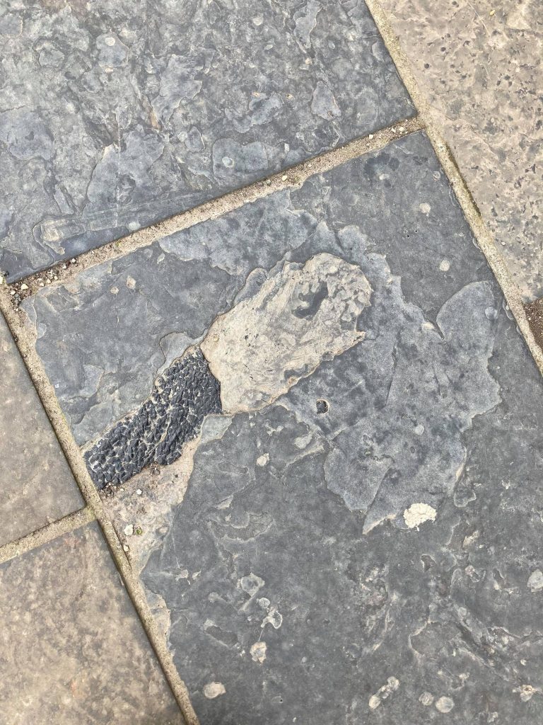 Fossil Hunting Around The City School of GeoSciences Student Blog