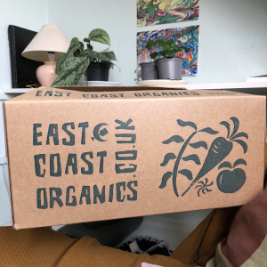 A Vegetable Box from East Coast Organics