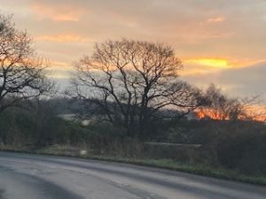 Image of road with tree and sunrise