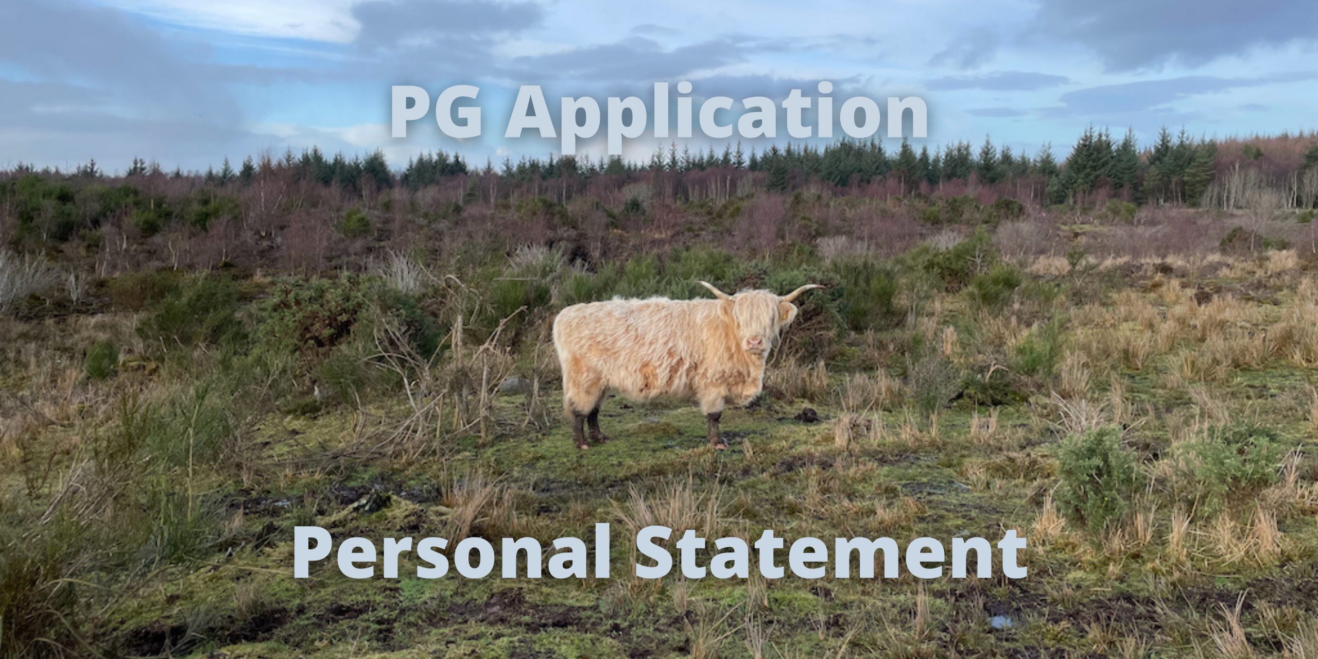 university of edinburgh personal statement