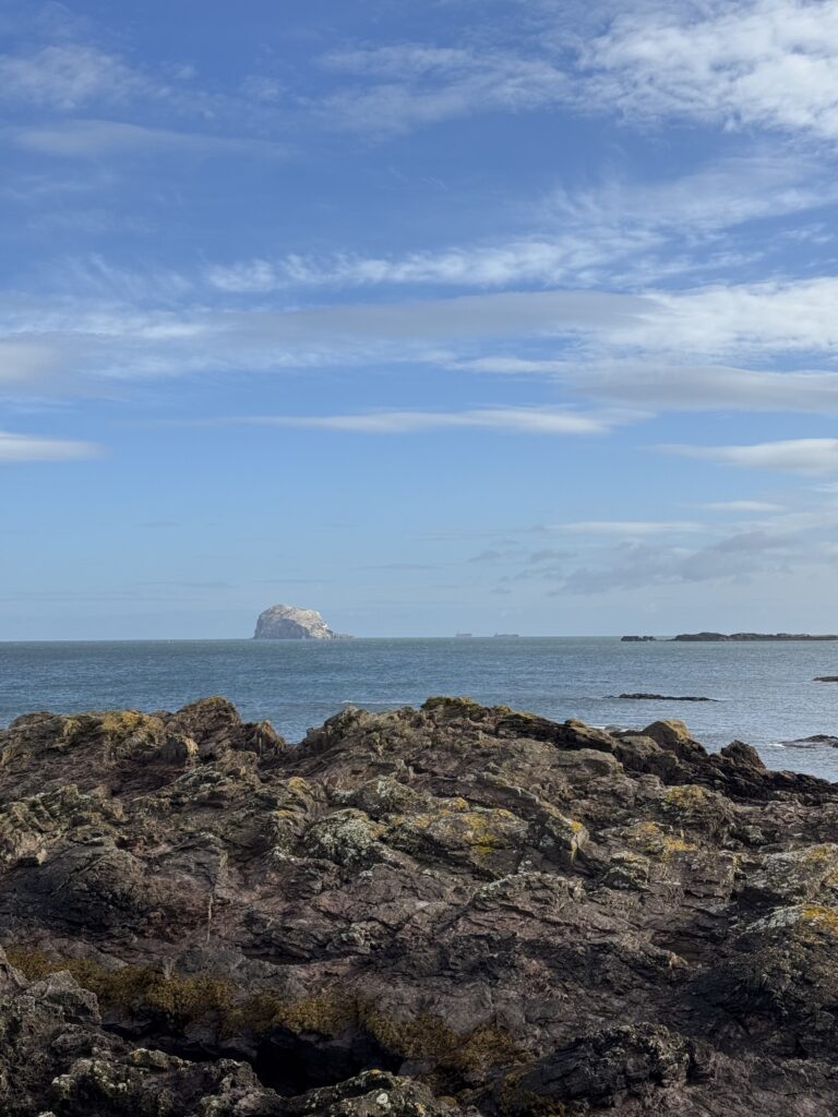 A rocky coastline against the sea