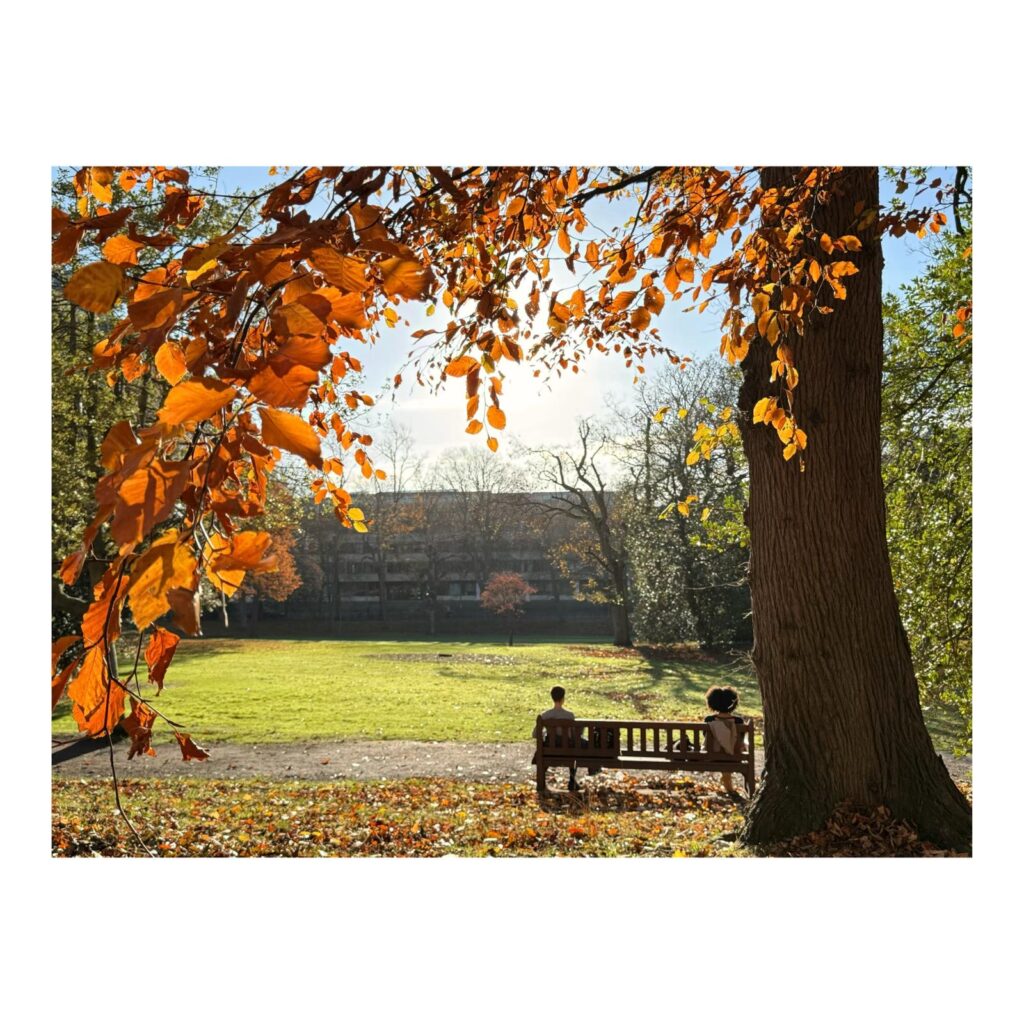 Two people sit on a bench in a park with autumn leaves on the trees