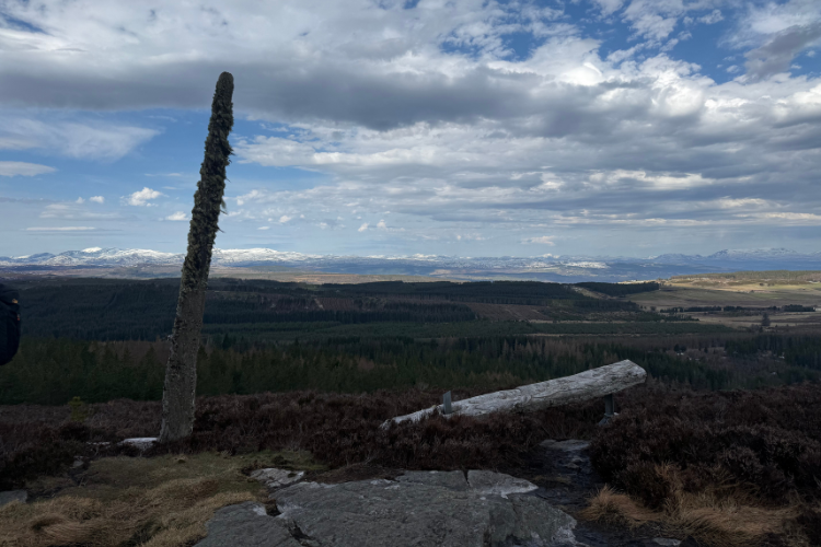 Totem poles covered with lichen mark on the peak of a hill