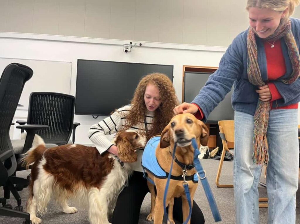 Ellis and a friend with two therapet dogs 