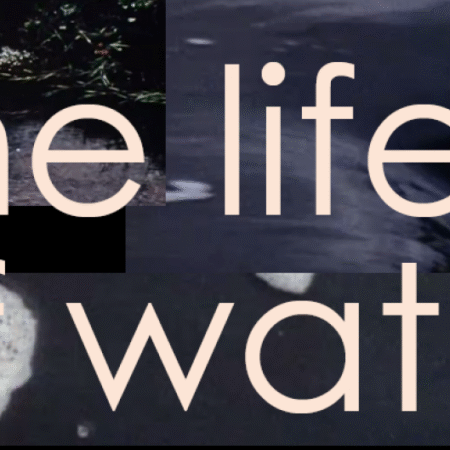 Text reads: The life of water