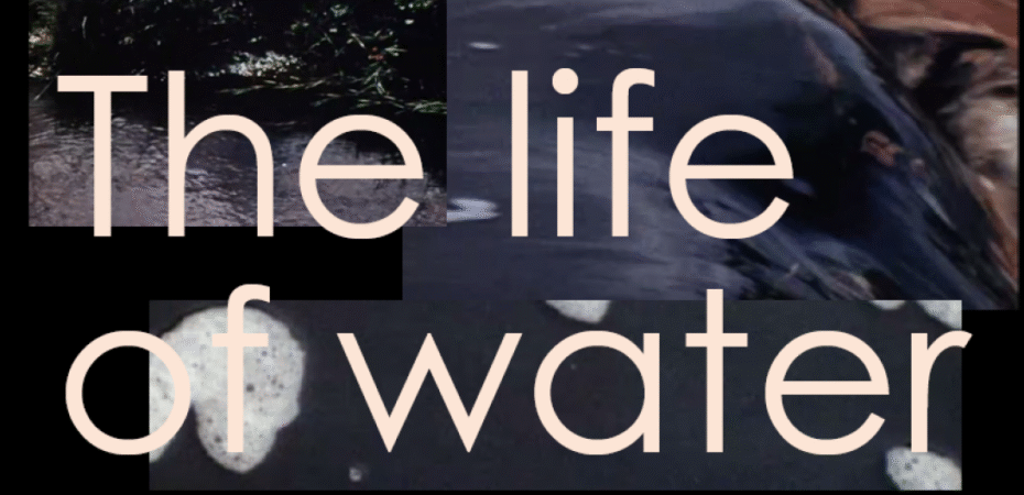 Text reads: The life of water