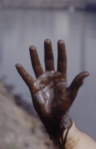 c1ce55eab782e7e6_landing