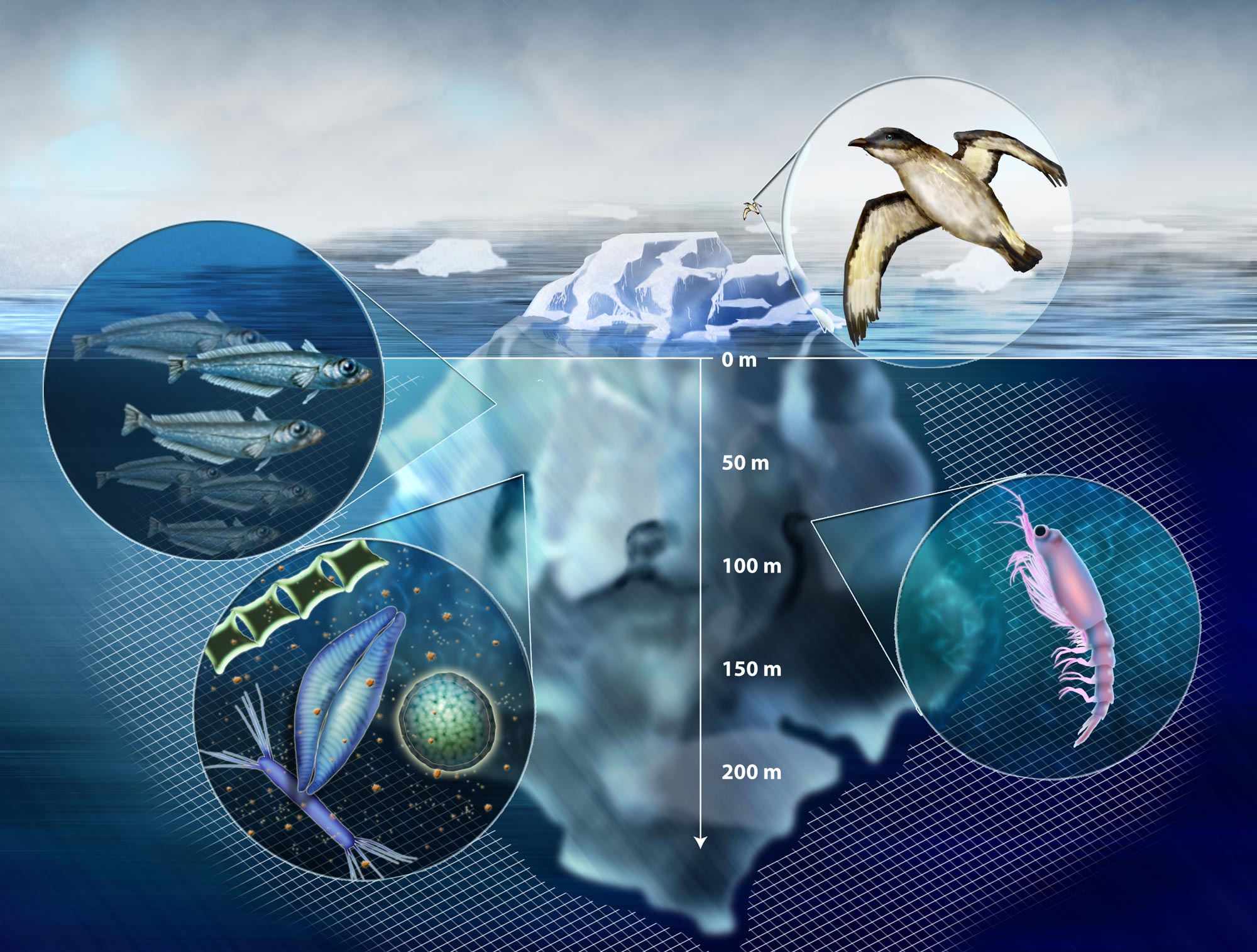 The importance of having themes in seminar programmes Variable magma