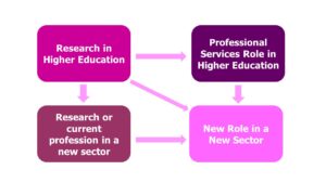 4 boxes labelled research in higher education, professional services in higher education, research or current profession in a new sector, new role in a new sector.