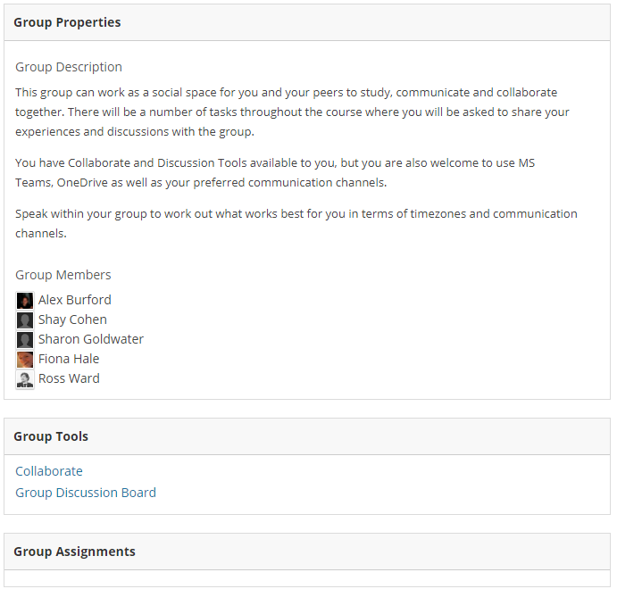 Example of a group space with a text description, list of group members, a tools space containing 2 tools, and a Group Assignment space containing no links