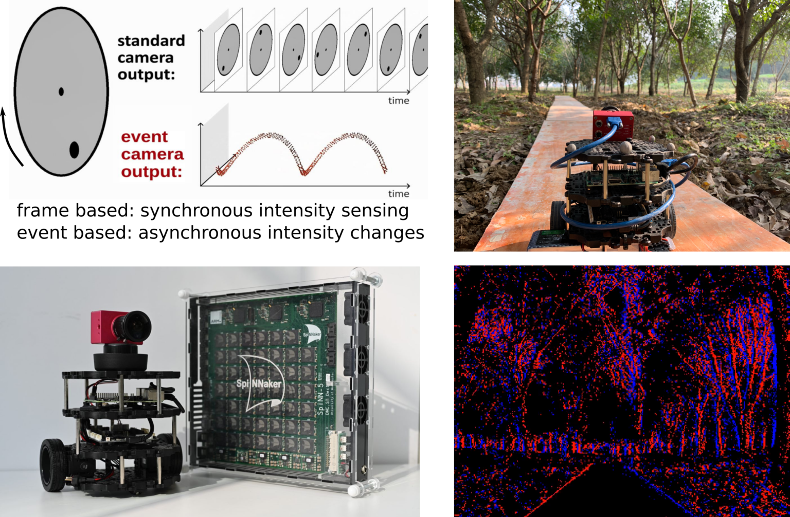 Insect Robotics Group – Building Robots To Understand Insect Behaviour