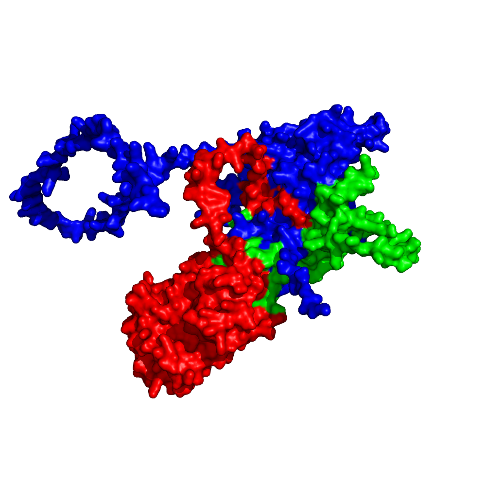 RNAse H2 structure, predicted with AlphaFold-Multimer