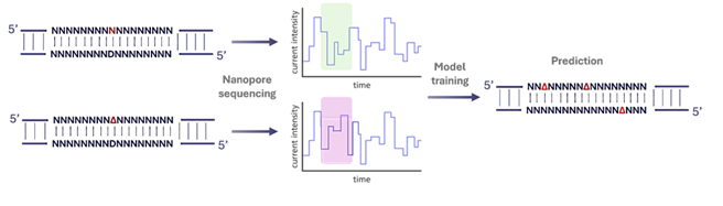 Reading the Book of Life: How Advanced DNA Sequencing Is Transforming ...