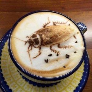 Coffee decorated with a cockroach
