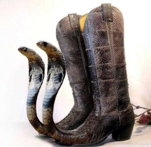 Boots with snakeheads on the feet