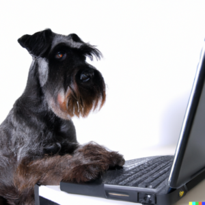 An AI generated image of a black schnauzer using a laptop.