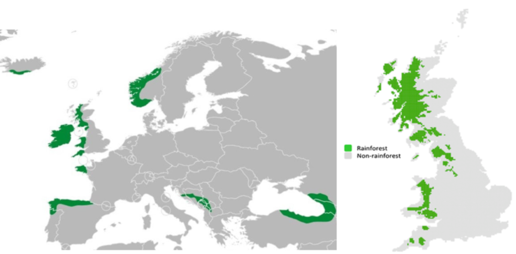 Temperate Rainforest World Map