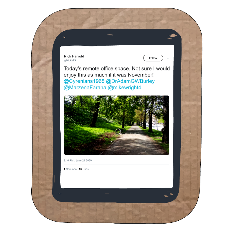 Image of a tweet showing a photo of a park with trees and a sun-dappled path