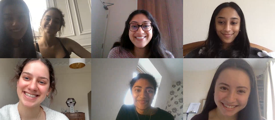 Online meeting screen shot of the whole team