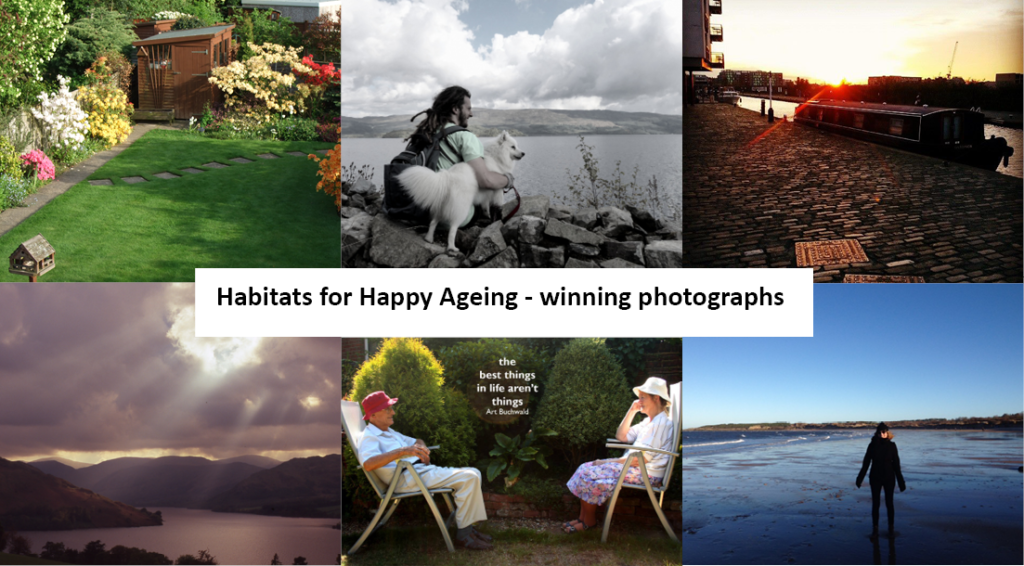 Montage of photography competition entries