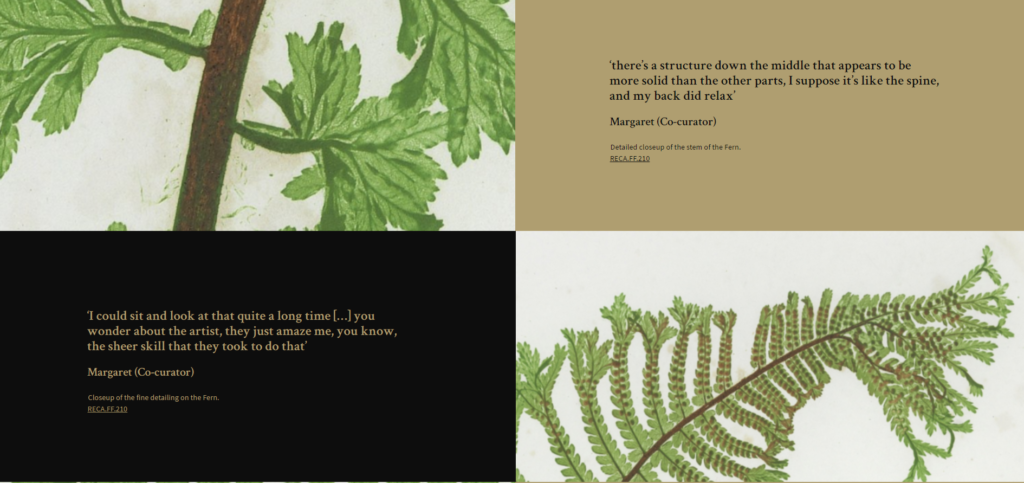 The screenshot has four sections. Top left shows a close image of fern leaves. Top right has a co-curator quotation on gold background. Bottom right has a close up image of a fern stem. Bottom left has a quotation from the co-curator on black.