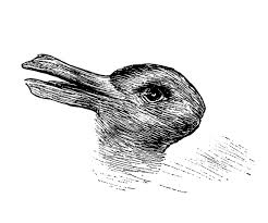 Rabbit-duck