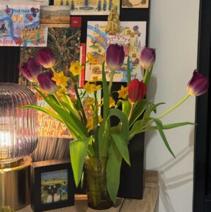 A small vase made of teal transparent crystal with purple and white tulips in full bloom, interspersed with yellow daffodils in the shape of stars, the whole flower is spread out like a fan!