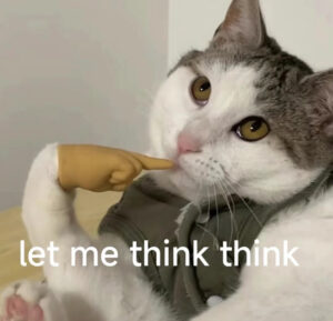 Cat Meme © 2024 by Yan Zhao is licensed under CC BY-SA 4.0