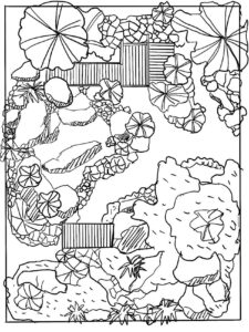 Example of a park layout programme 3