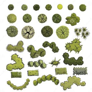 Example of a hand-drawn plan of a park.