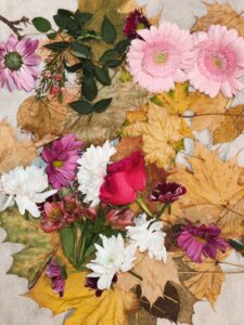 This picture shows the materials needed for learning. In the picture there are dried and fresh leaves, flowers of various colours and types and some paper.