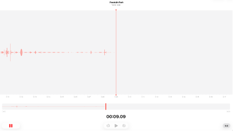 Audio waveform in a recording software, showing a recorded voice track with a timestamp of 00:09:09.