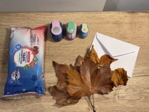 Materials needed for making a leaf collage: wet wipes, a rounding tool, fresh fallen leaves, and envelopes (for holding leaf fragments).