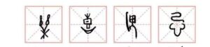 There are four side-by-side square boxes, each containing a different-shaped black hand-drawn symbol.