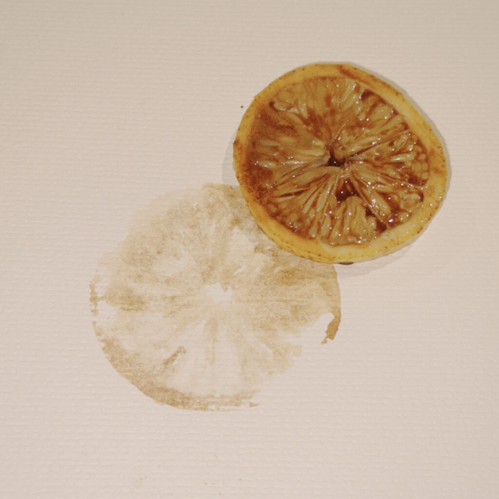 A slice of lemon and its rubbing