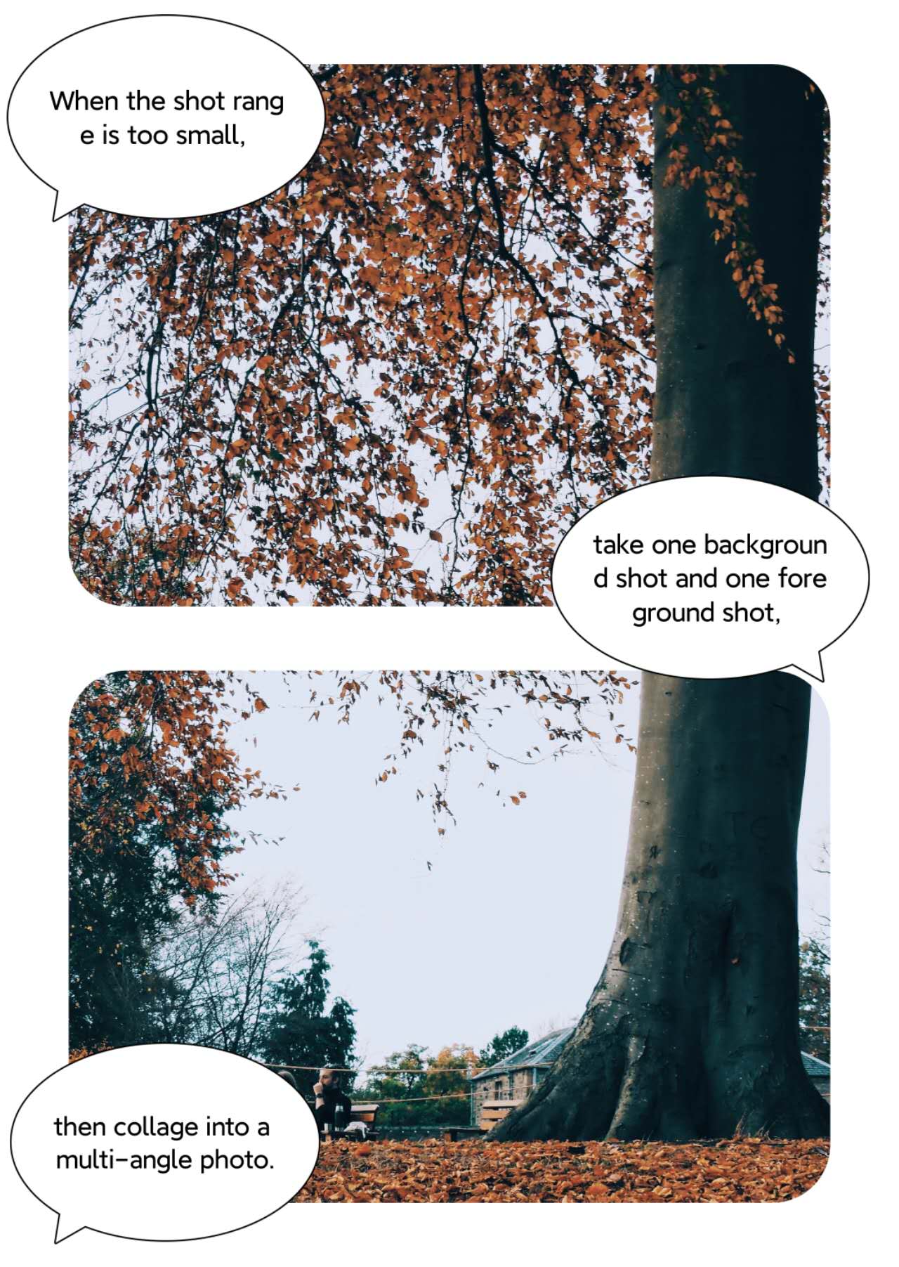 To help participants understand, I took the photo myself. This resource is fully public. (CC0 — no rights reserved)