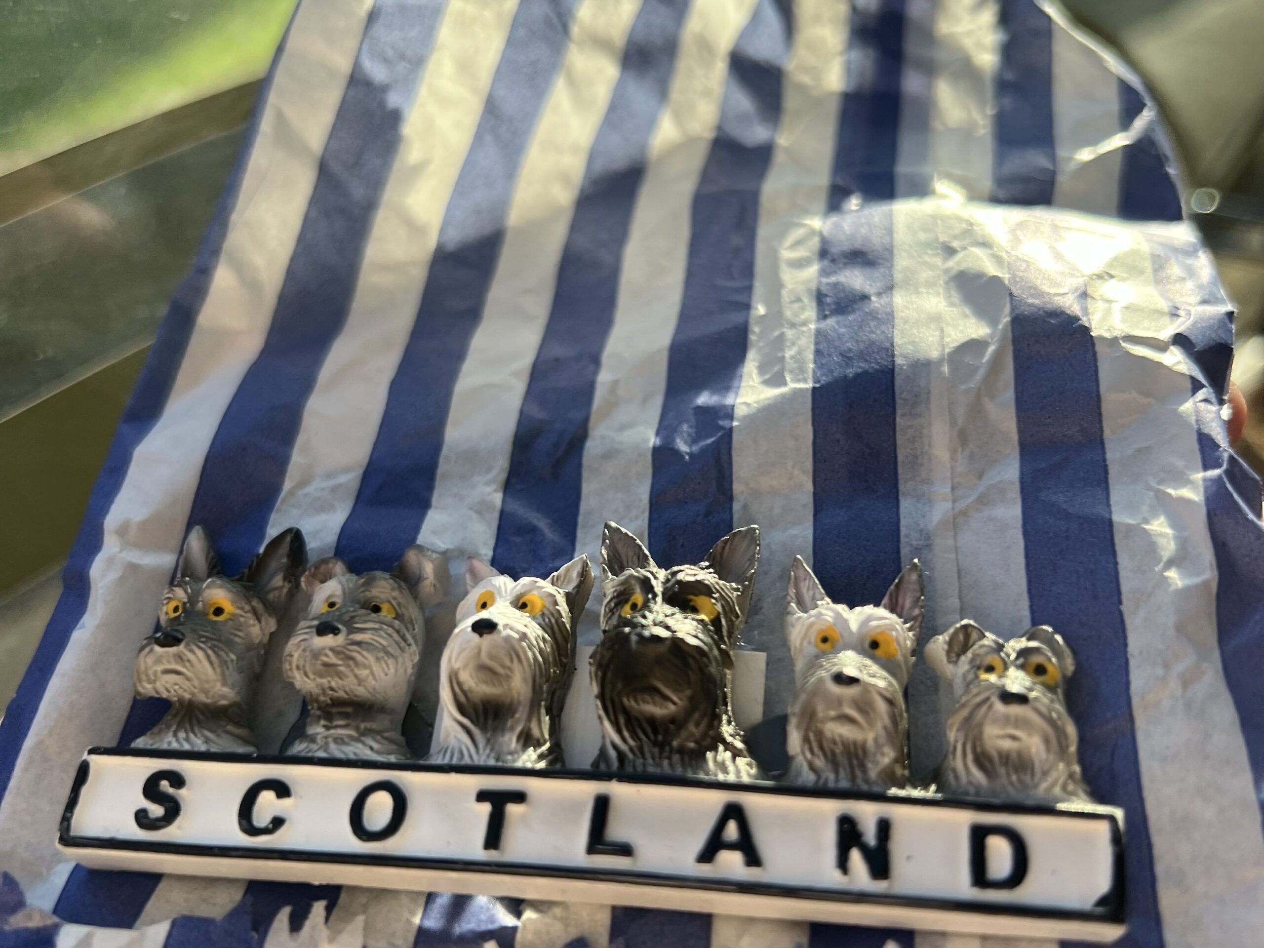 A souvenir of six small dog figures above the word “Scotland,” shown in sunlight on a blue and white striped background.