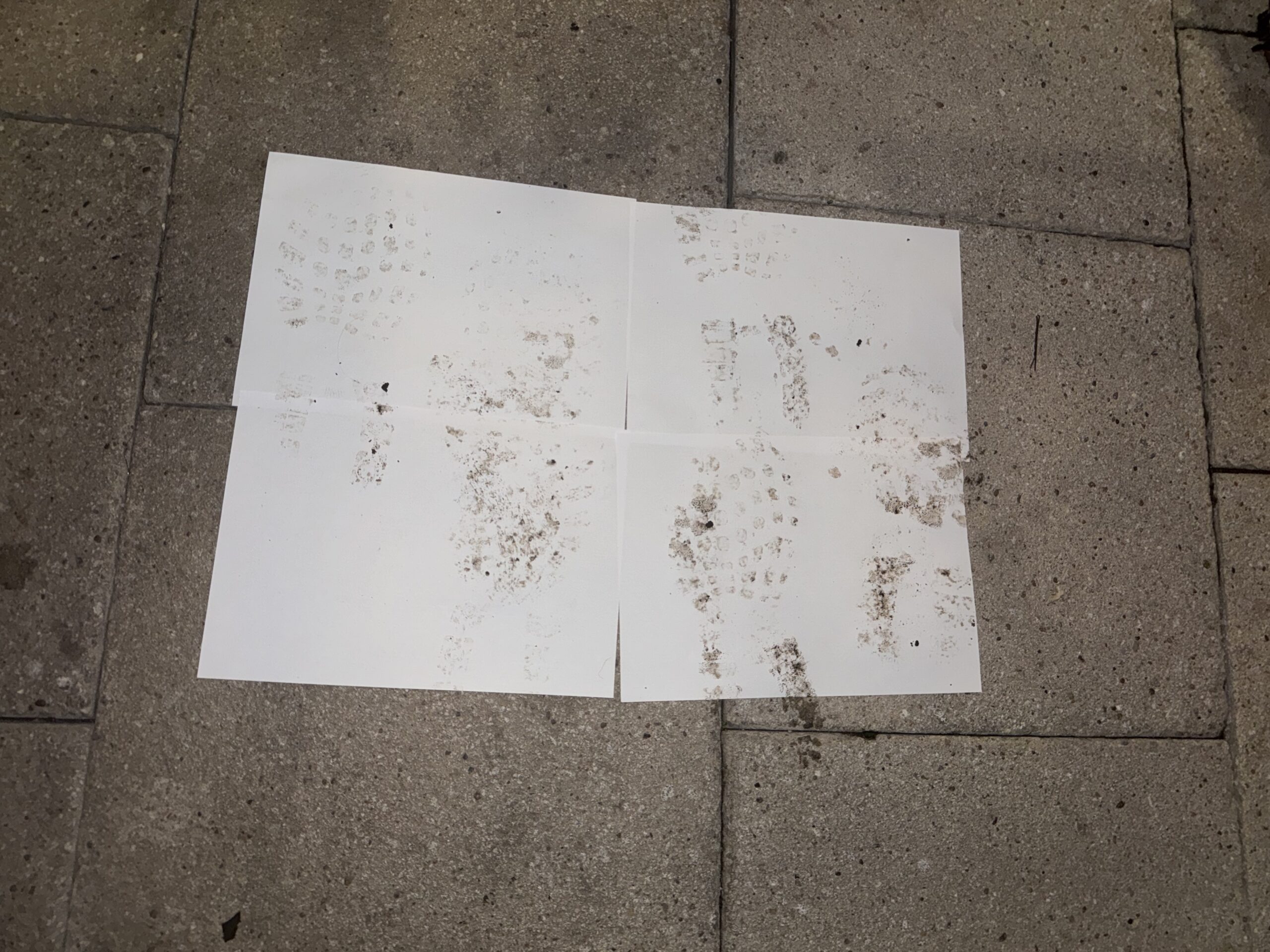 There are four white sheets of paper placed on the ground in the picture, with some footprints on them.