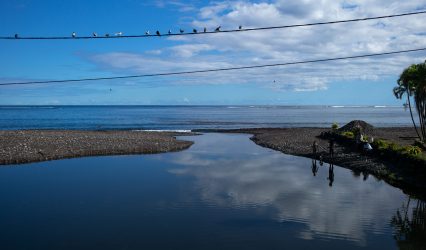 Sea meets sky with people by the shore and birds on telephone wire