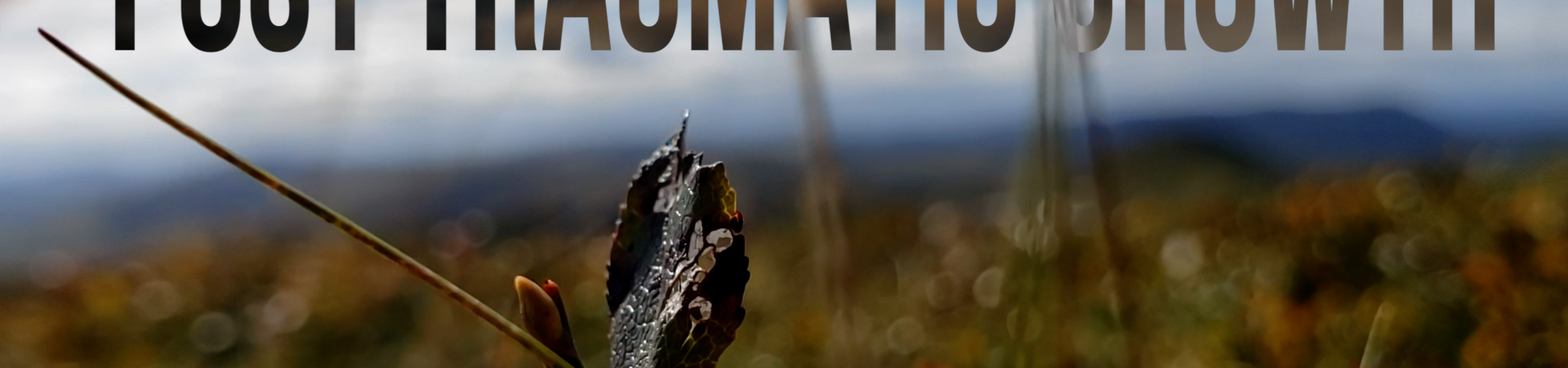 Post Traumatic… Growth?! A Short Musical Documentary