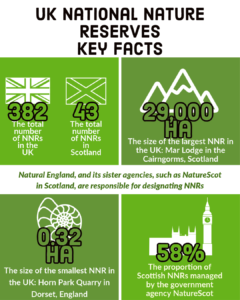 A grid of 4 green squares display 4 different facts about National Nature Reserves in the UK, accompanied with white illustrative icons