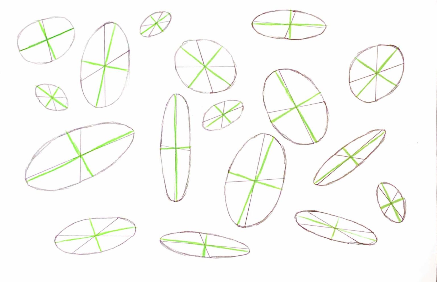 Ellipses And Primitives – ILA 7 : Drawing And Shading – Quentin's ...