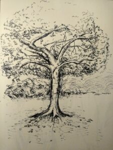 drew a tree. – Molly Mitchell / Art Practice 2 (2020-2021)[YR]